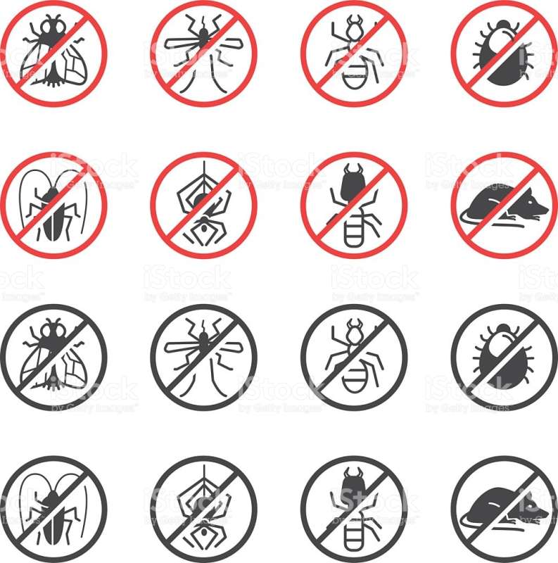 Wildlife Removal Wildlife Removal